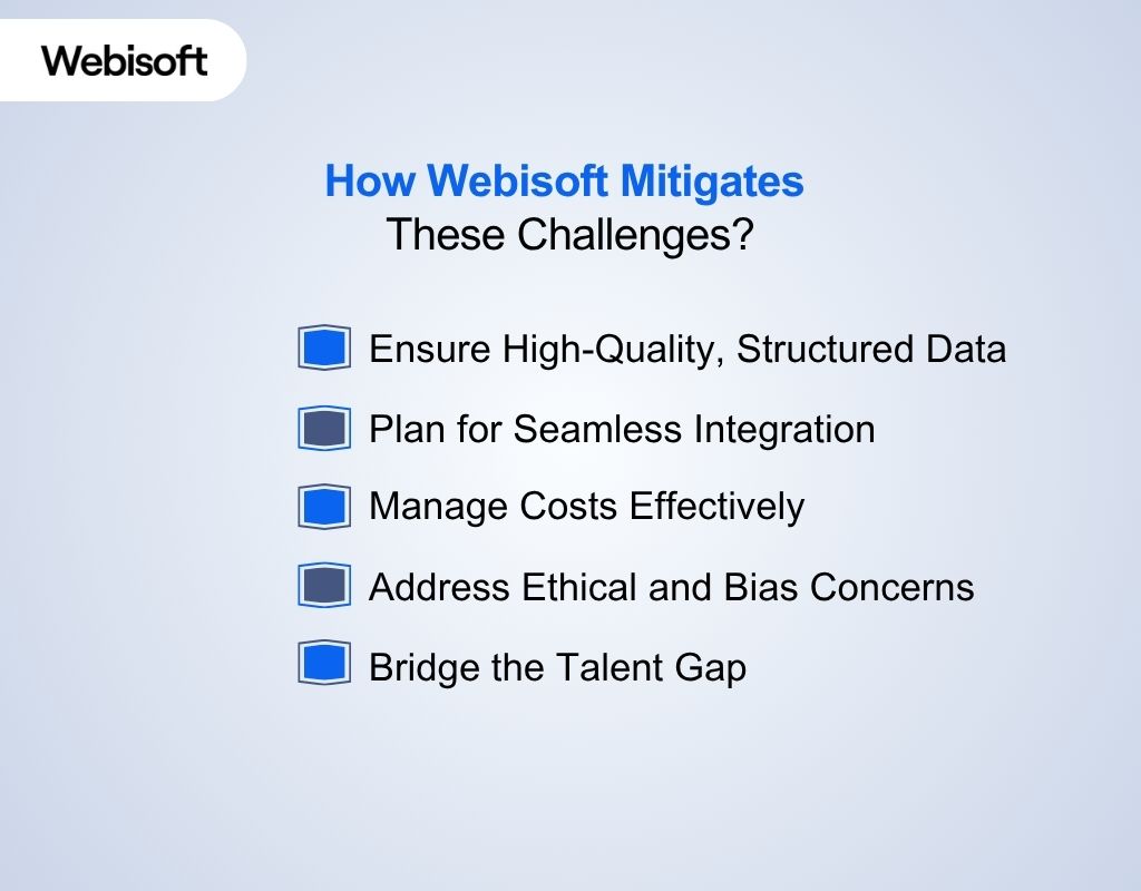 How Webisoft Mitigates These Challenges