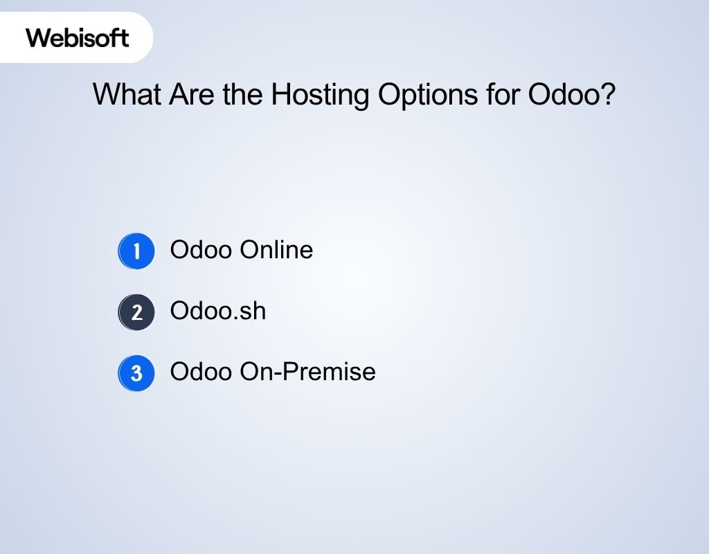 What Are the Hosting Options for Odoo