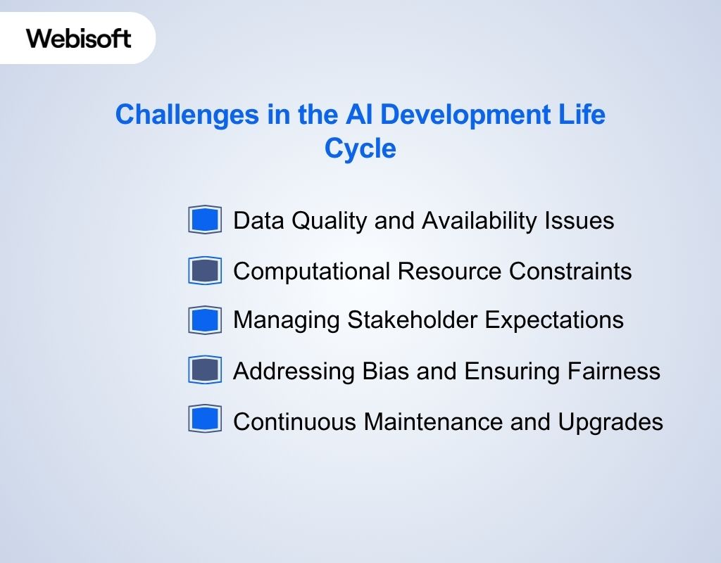 Challenges in the AI Development Life Cycle