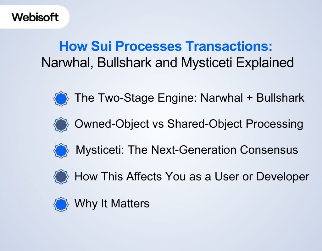 How Sui Processes Transactions