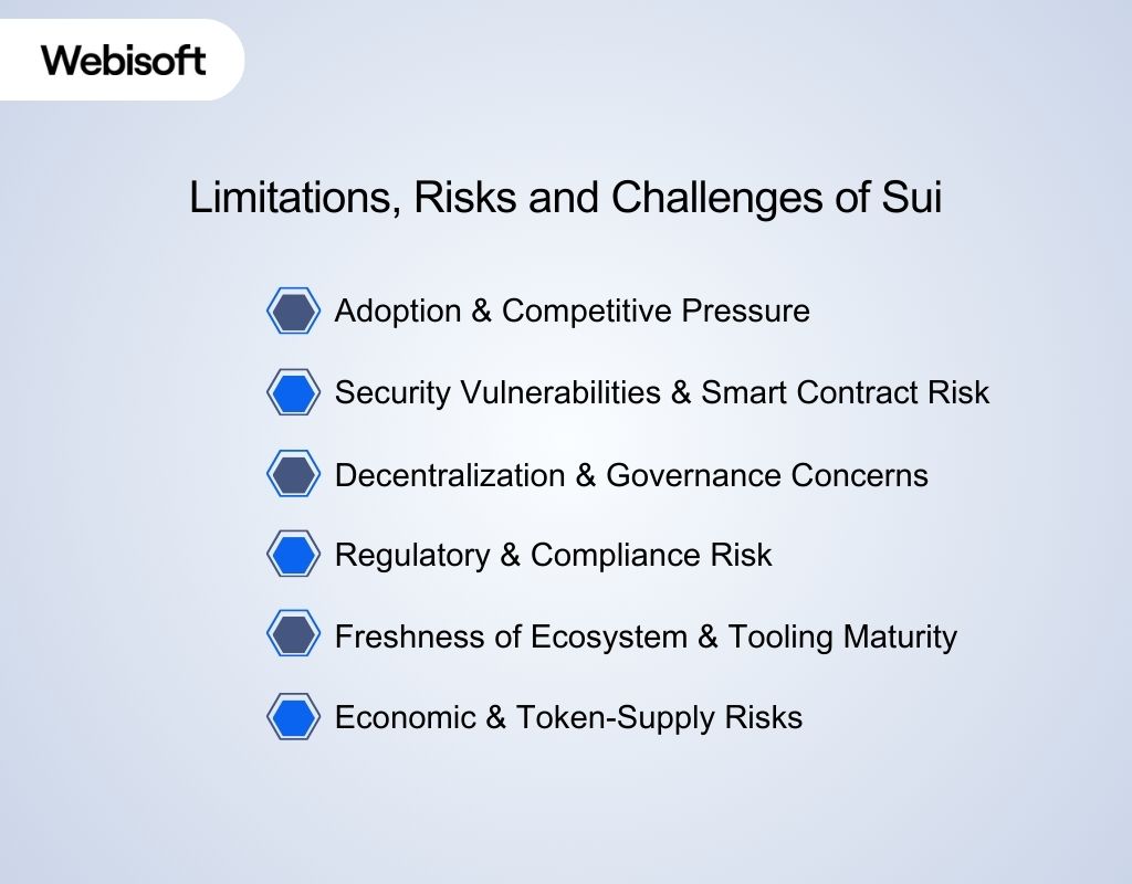 Limitations, Risks and Challenges of Sui