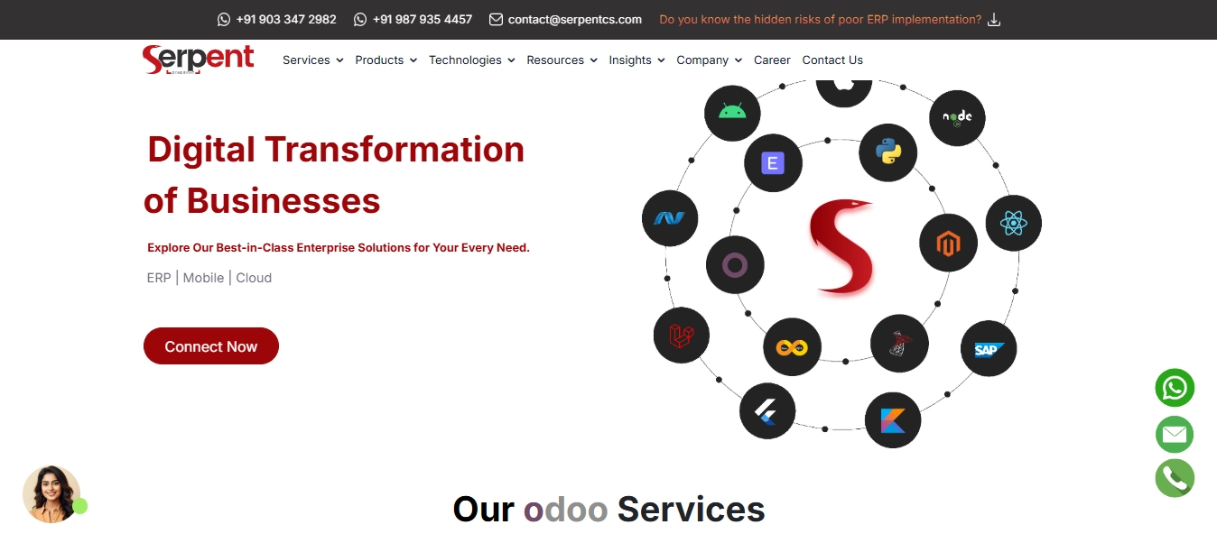 Serpent Consulting Services 