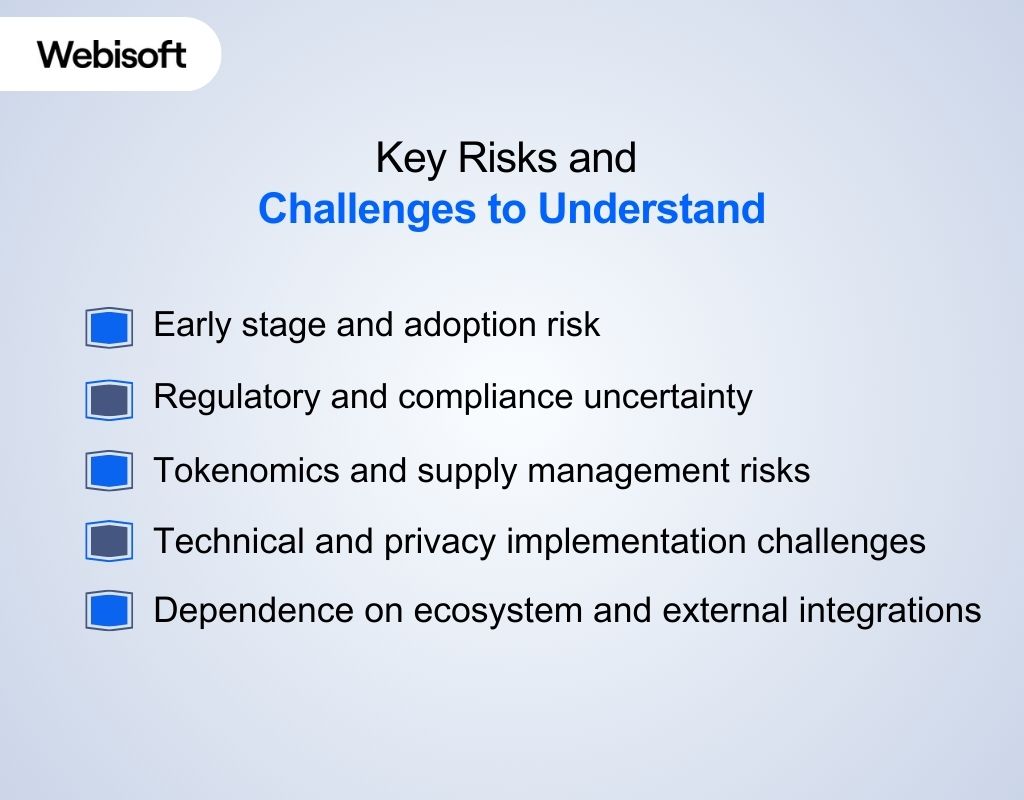 Key Risks and Challenges to Understand