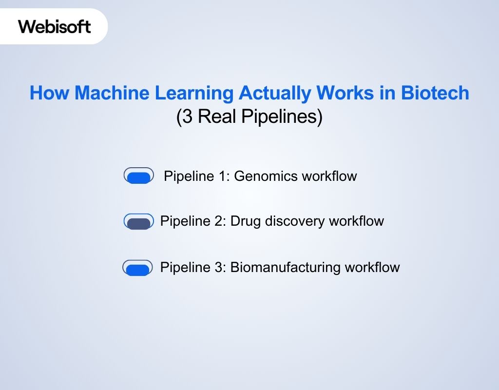 How Machine Learning Actually Works in Biotech