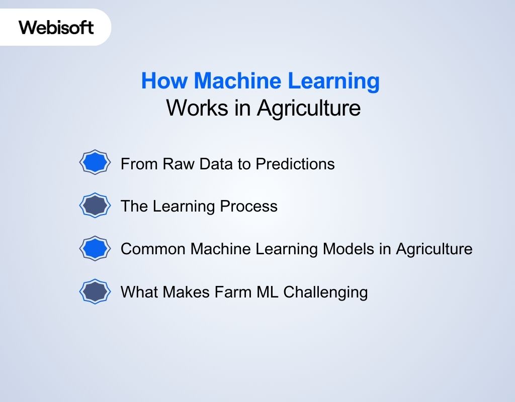 How Machine Learning Works in Agriculture