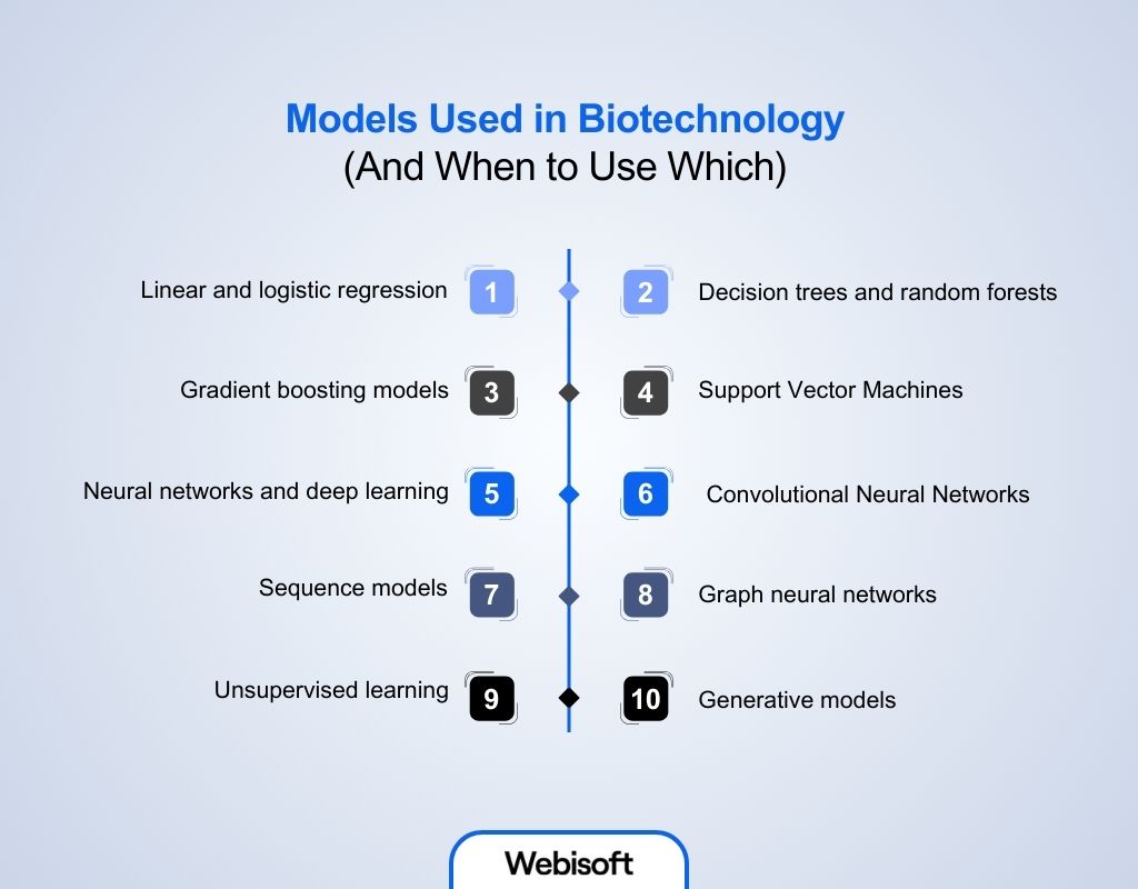 Models Used in Biotechnology
